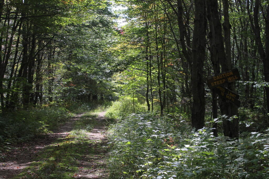 Photo: Along Indian Lake Road