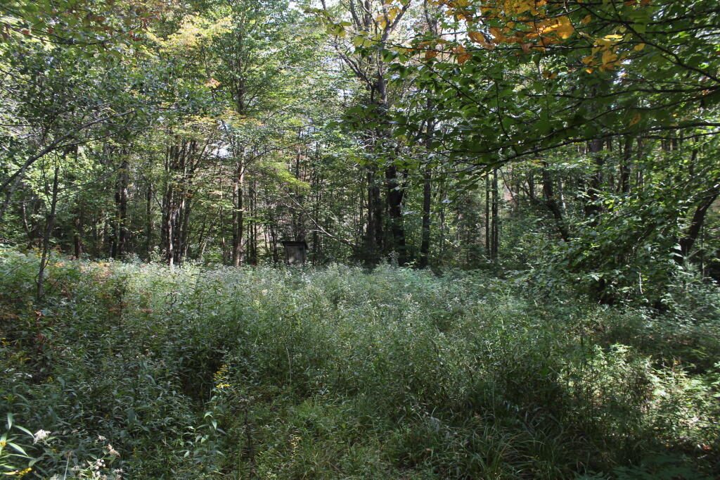 Photo: Former Campsite 137