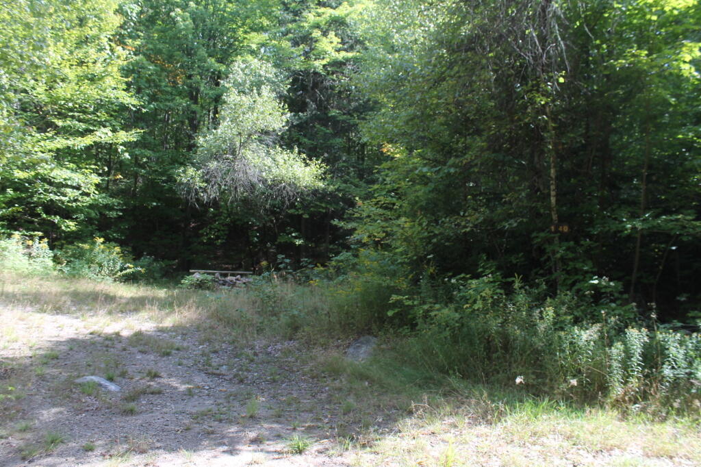 Photo: Campsite 137 at End of Former Indian Lake Road