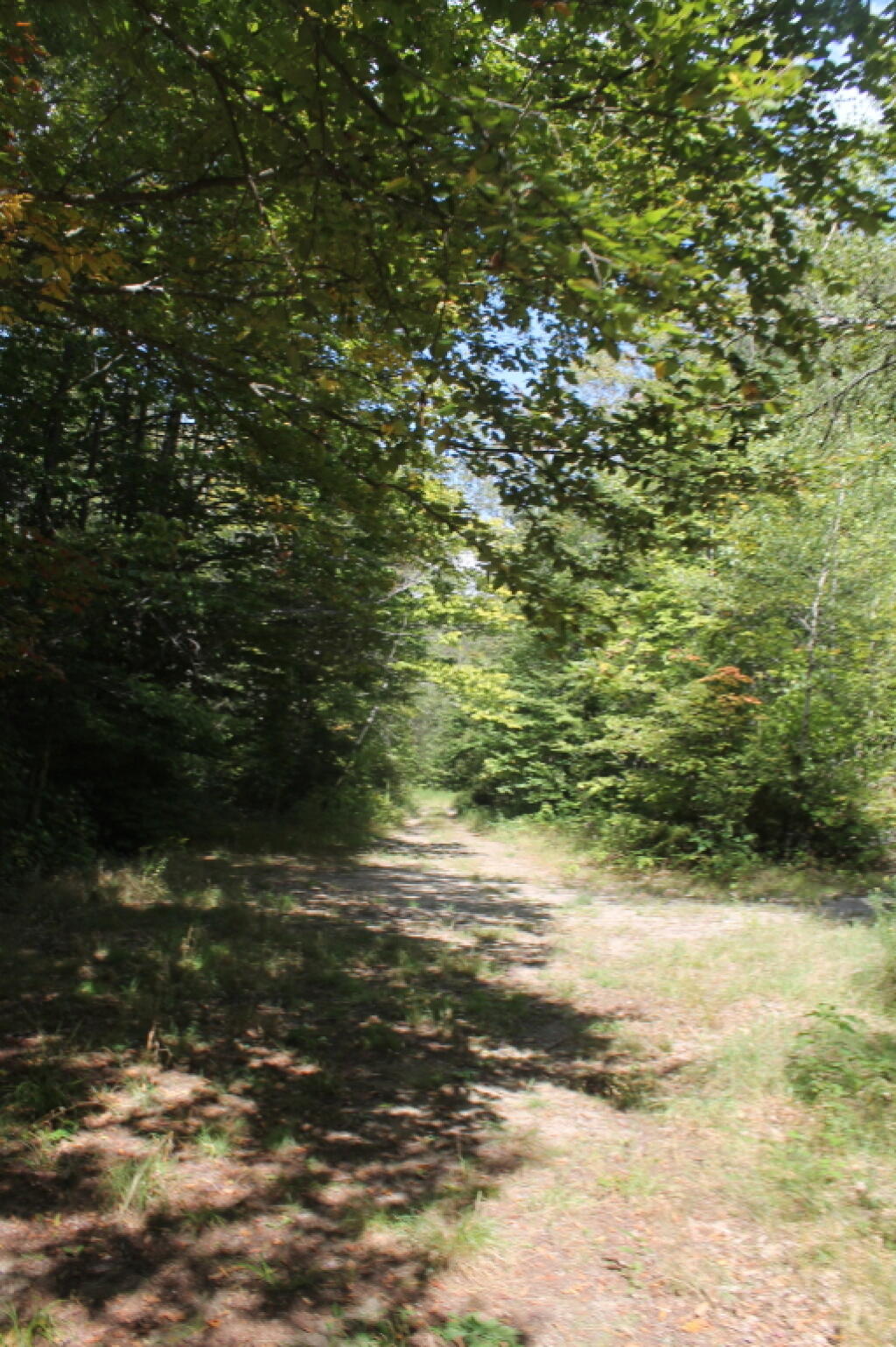 Photo: Looking Back at Indian Lake Road