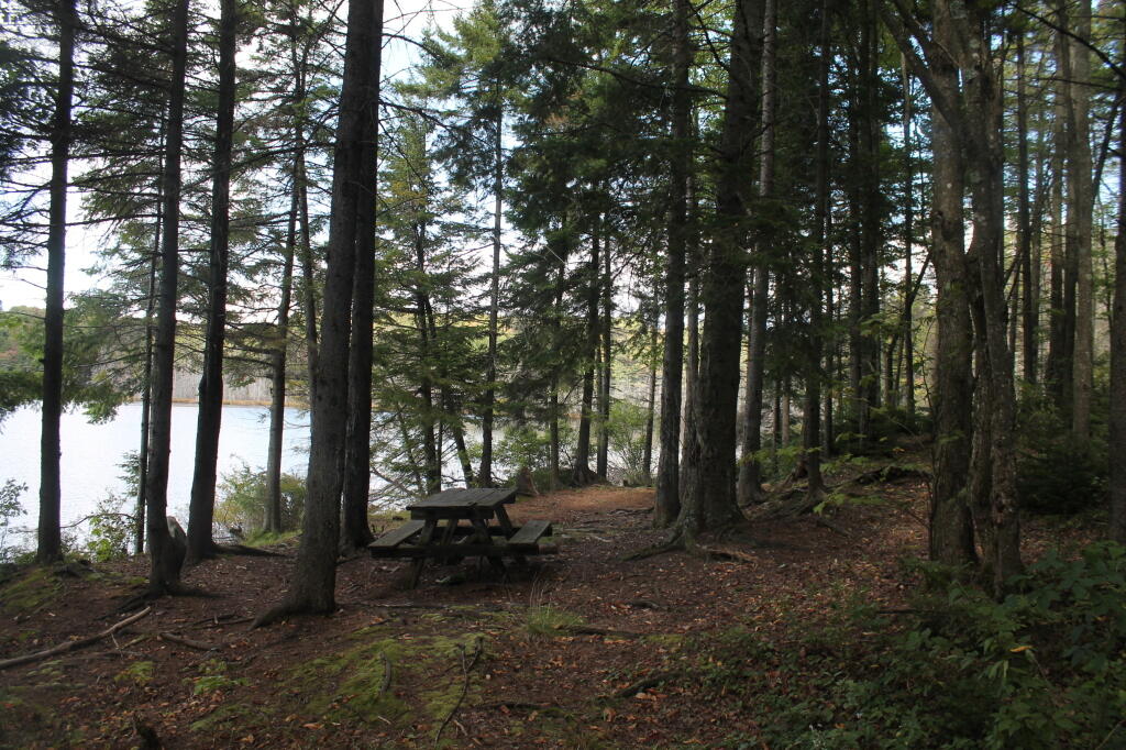 Photo: Picnic Table at Indian Lake