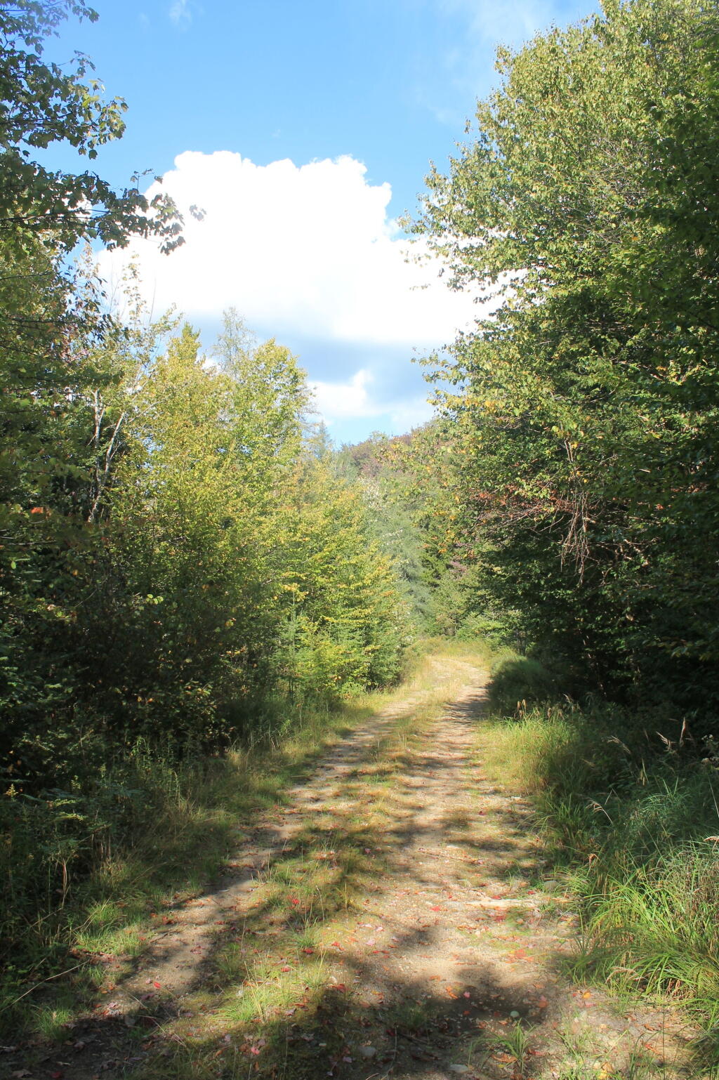 Photo: Former Indian Lake Road