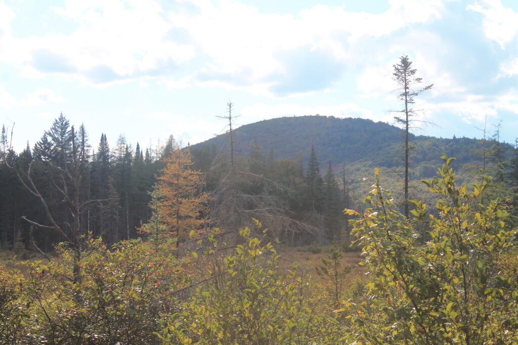 Photo: Indian Lake Mountain
