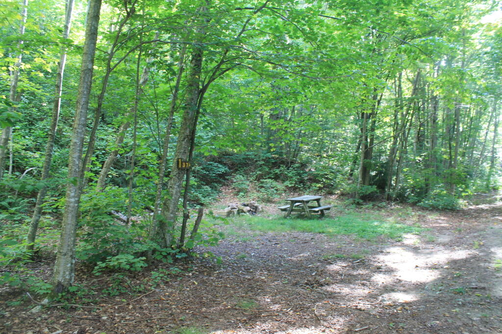 Photo: Campsite By Squaw Lake