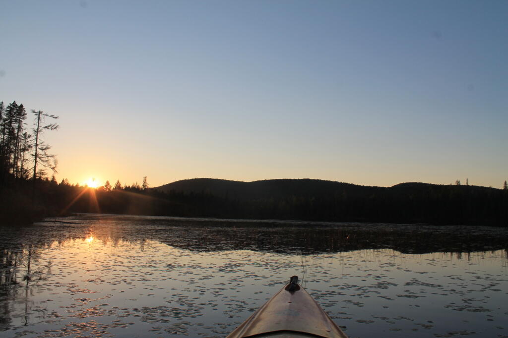 Photo: Untitled