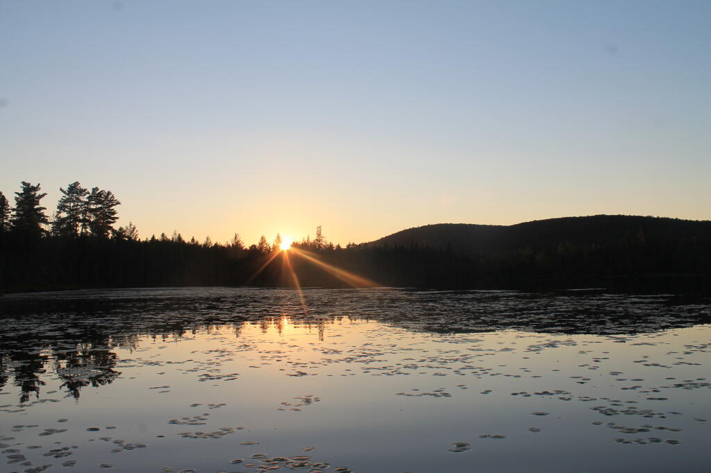 Photo: Untitled