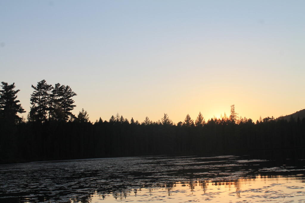 Photo: Untitled