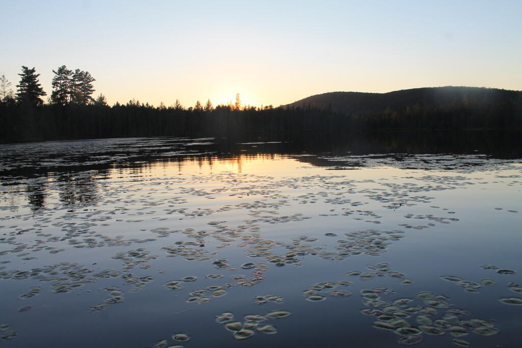 Photo: Untitled Photo: Untitled