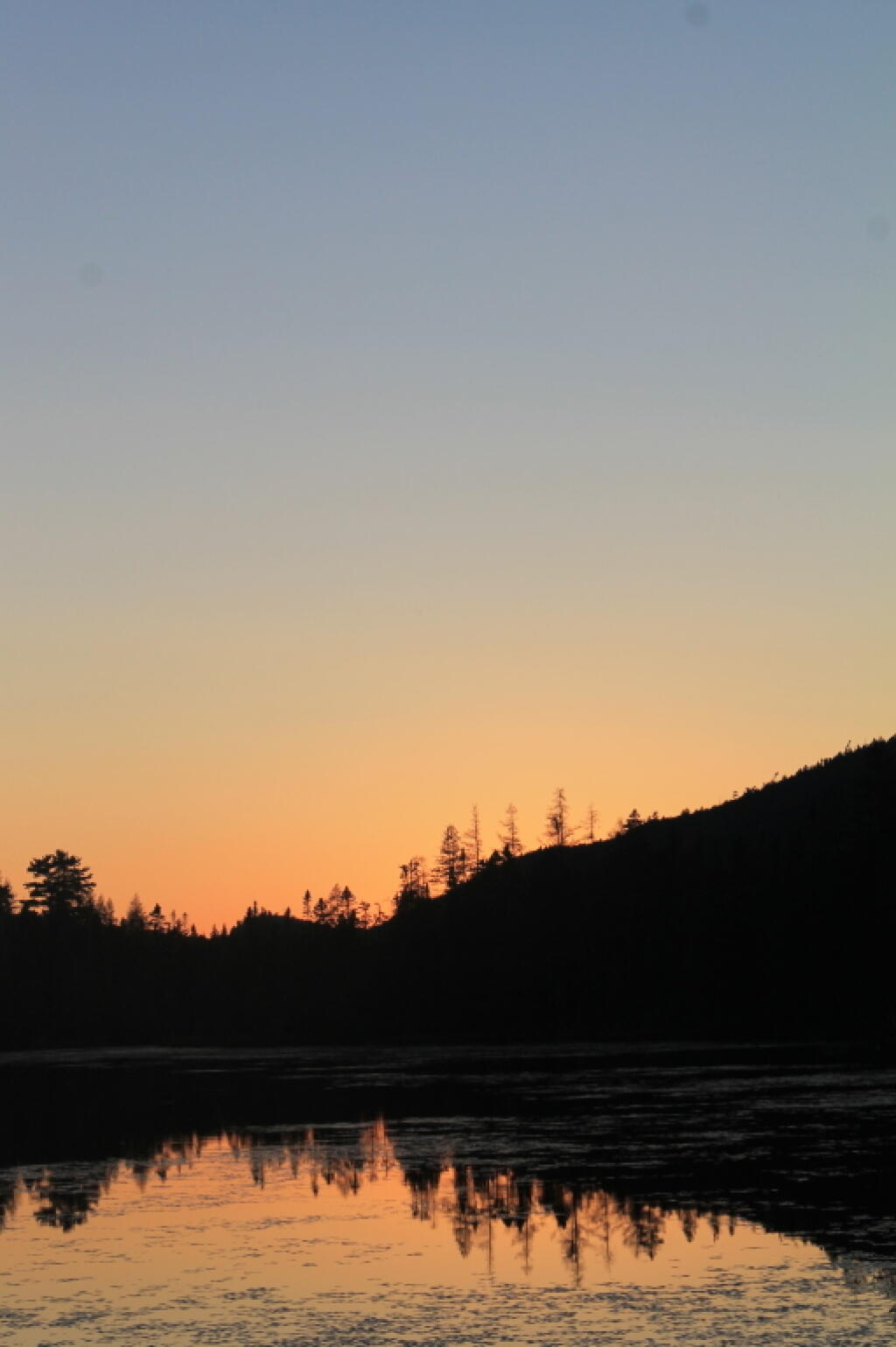 Photo: Untitled Photo: Untitled