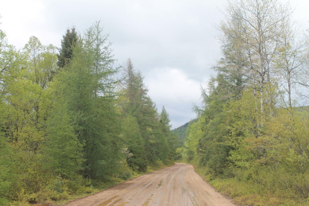 Photo: Plains Road Photo: Plains Road