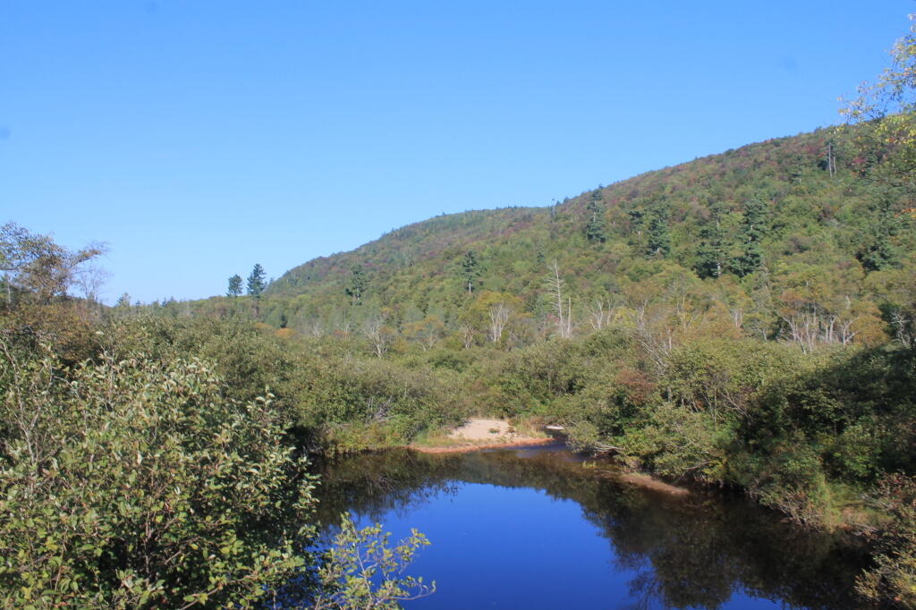 Photo: Summer Stream and Mitchells Pond Mountain Behind It