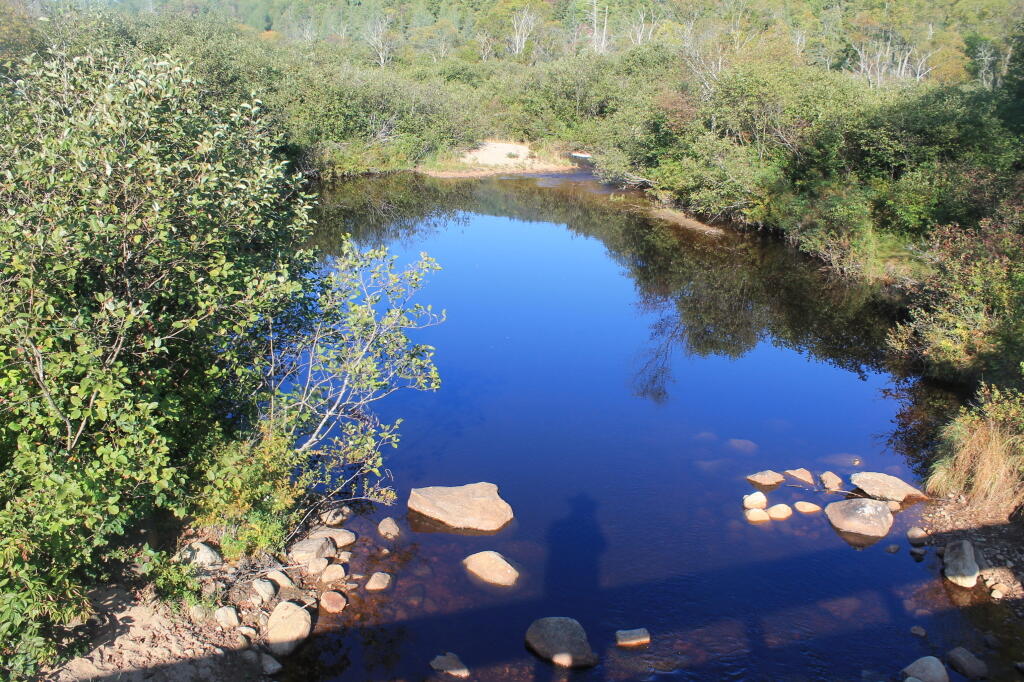 Photo: Bridge Shadow Photo: Bridge Shadow