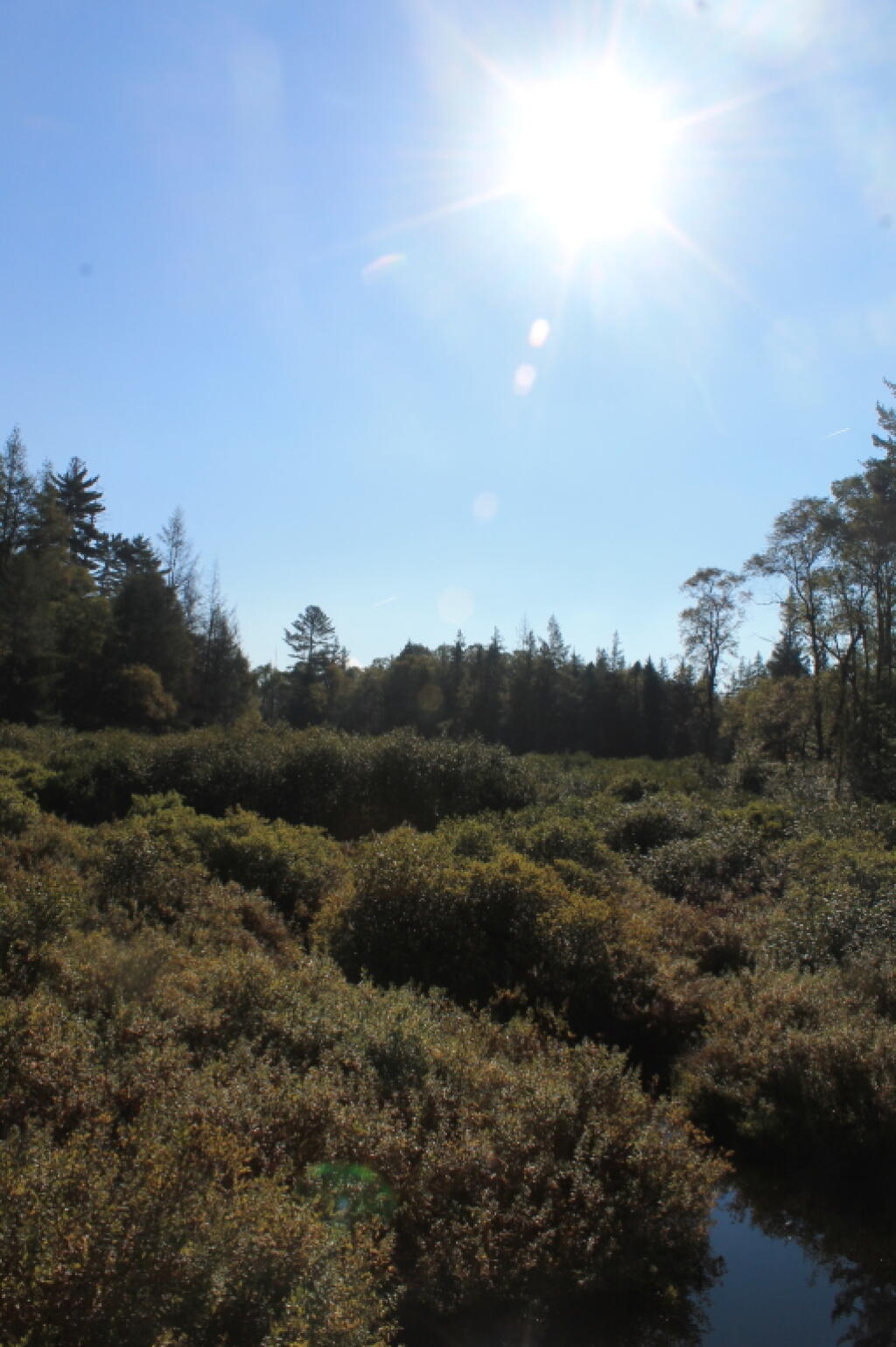 Photo: Falls Pond Outlet