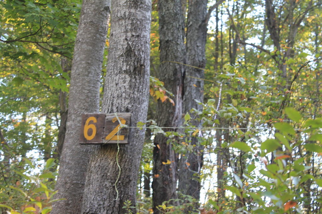 Photo: Site 62 Photo: Site 62