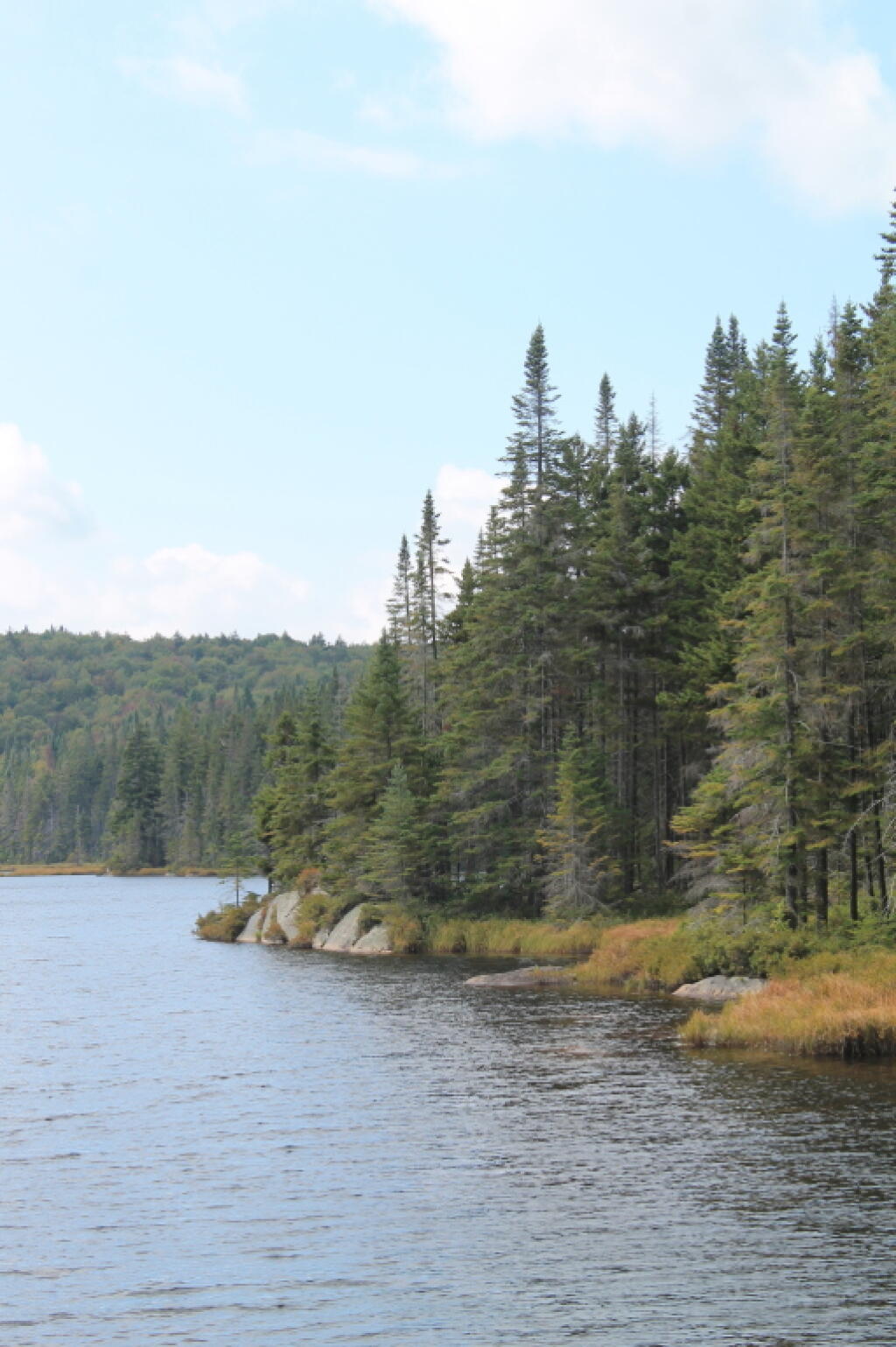 Photo: Along Falls Pond