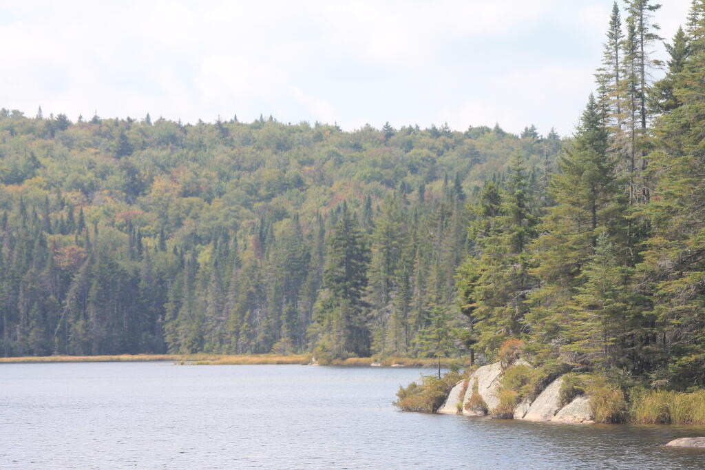 Photo: Falls Pond at Moose River Plains Photo: Falls Pond at Moose River Plains