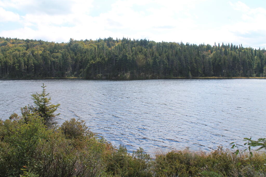 Photo: South Across Lake
