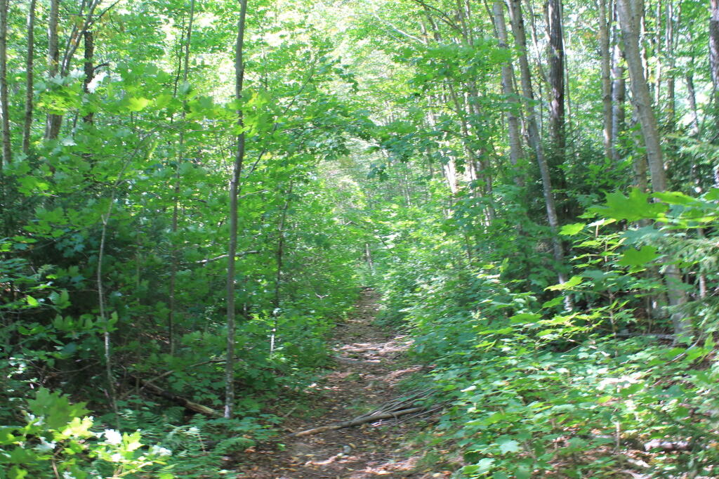 Photo: Brooktrout Trail
