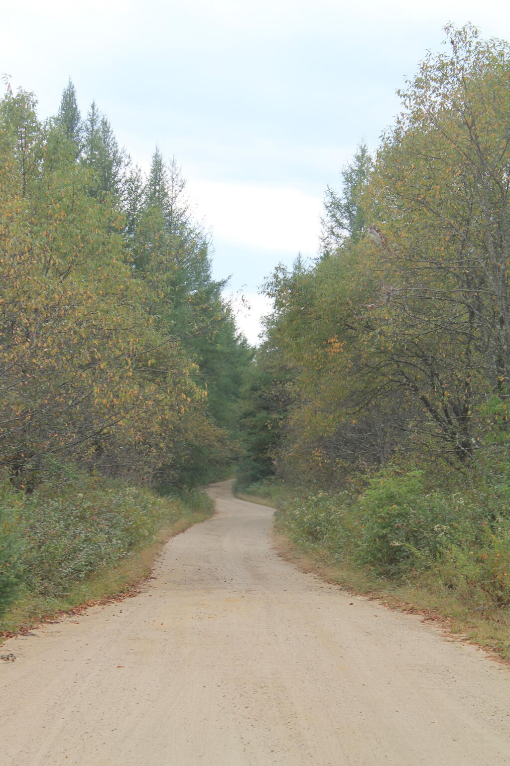 Photo: Otter Brook Road