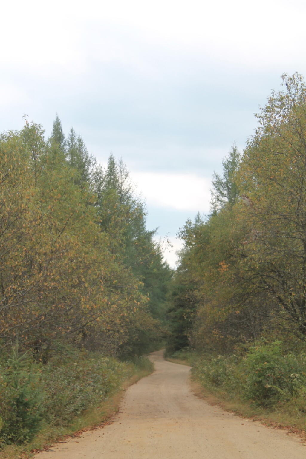 Photo: Otter Brook Road
