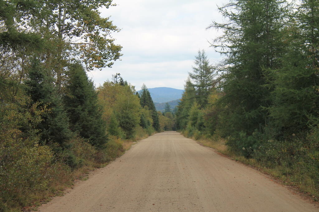 Photo: Cedar River-Limekiln Lake Road