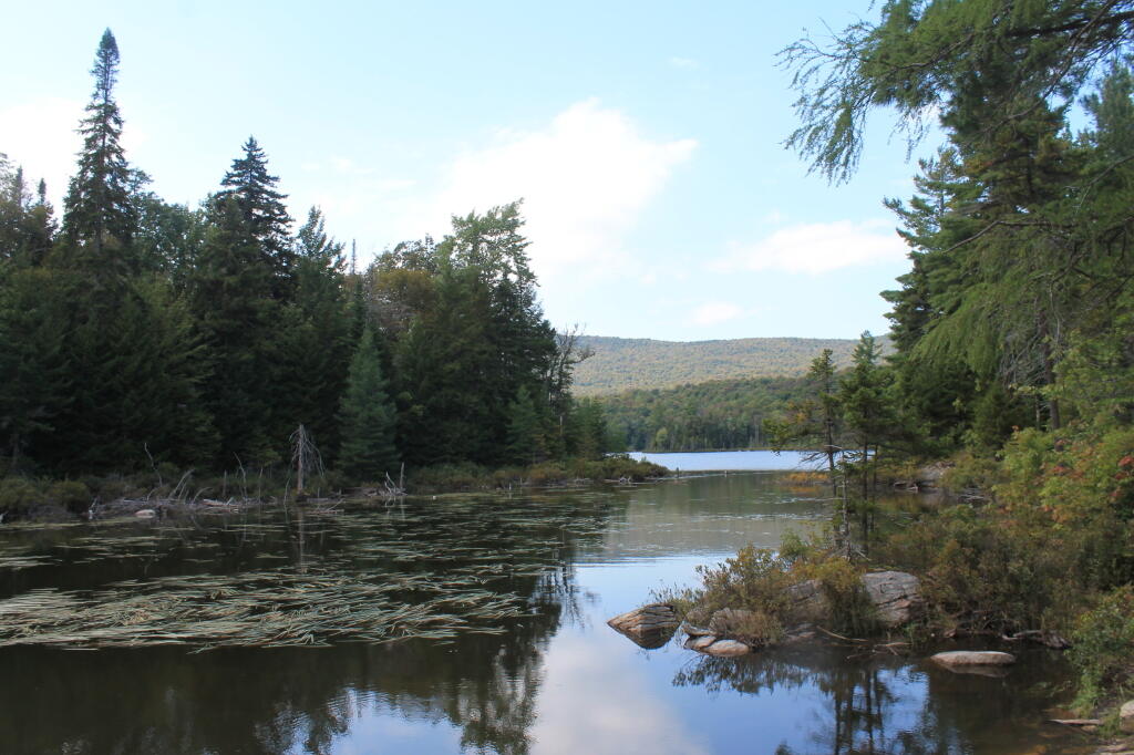 Photo: Wakely Pond Photo: Wakely Pond