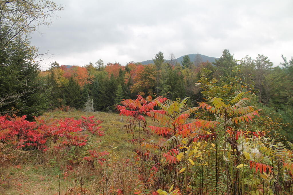 Photo: Round Top Mountain