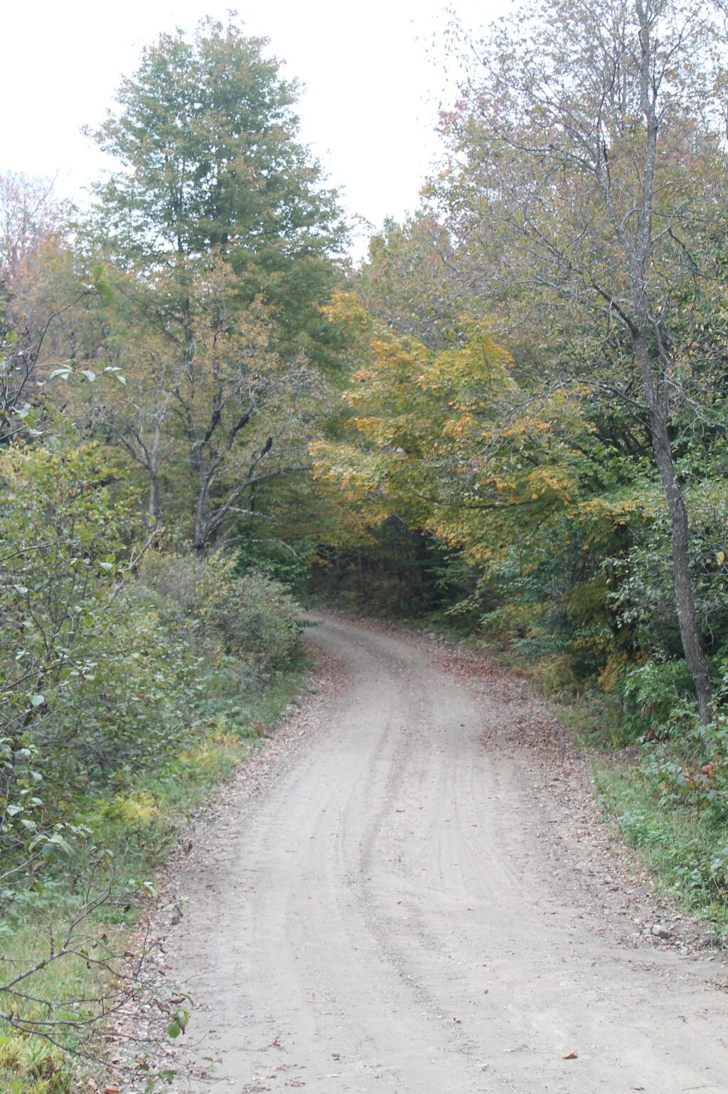 Photo: West River Road