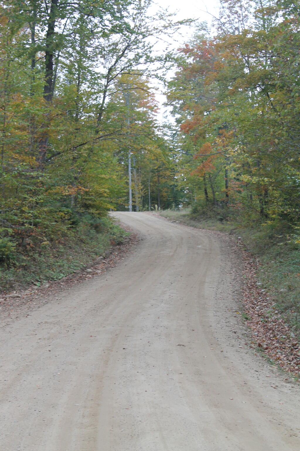Photo: Whitehouse Road Photo: Whitehouse Road