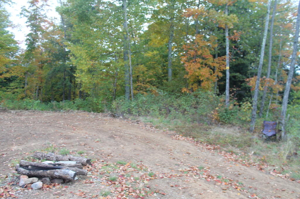 Photo: New Jessup River Road Campsite Photo: New Jessup River Road Campsite