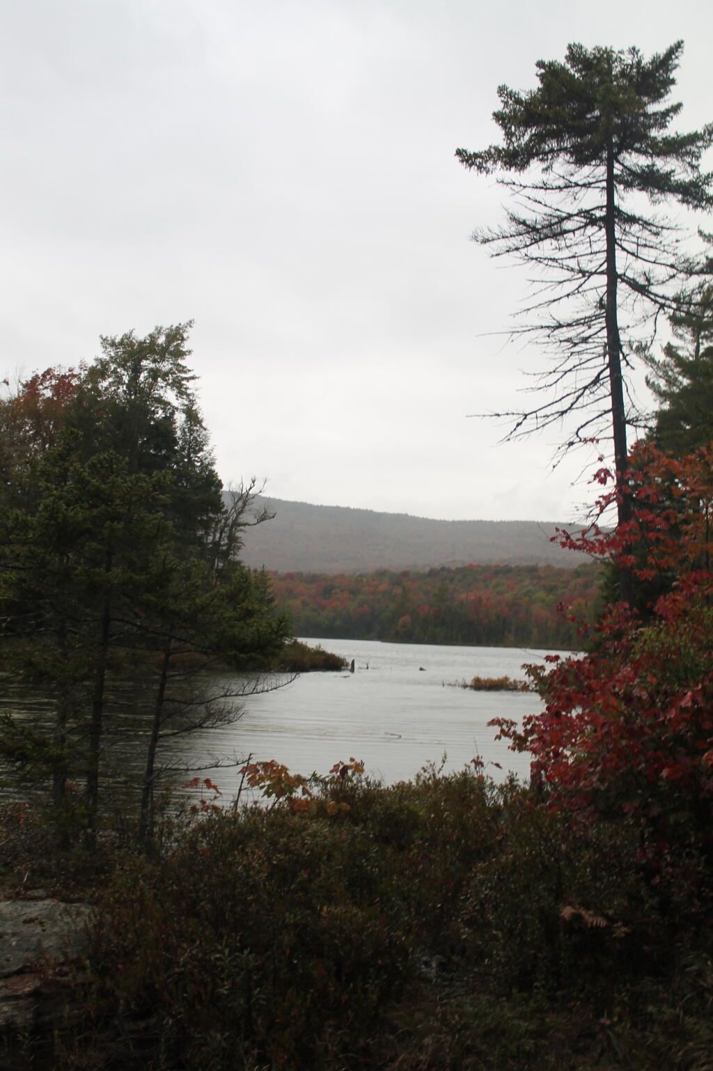 Photo: Wakely Pond Before the Rain Photo: Wakely Pond Before the Rain