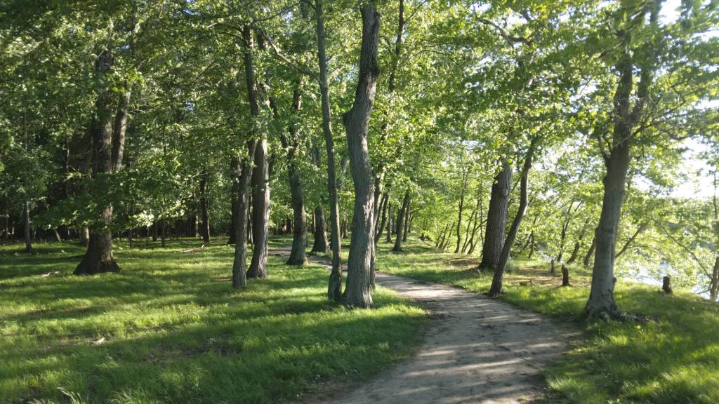 Photo: Path