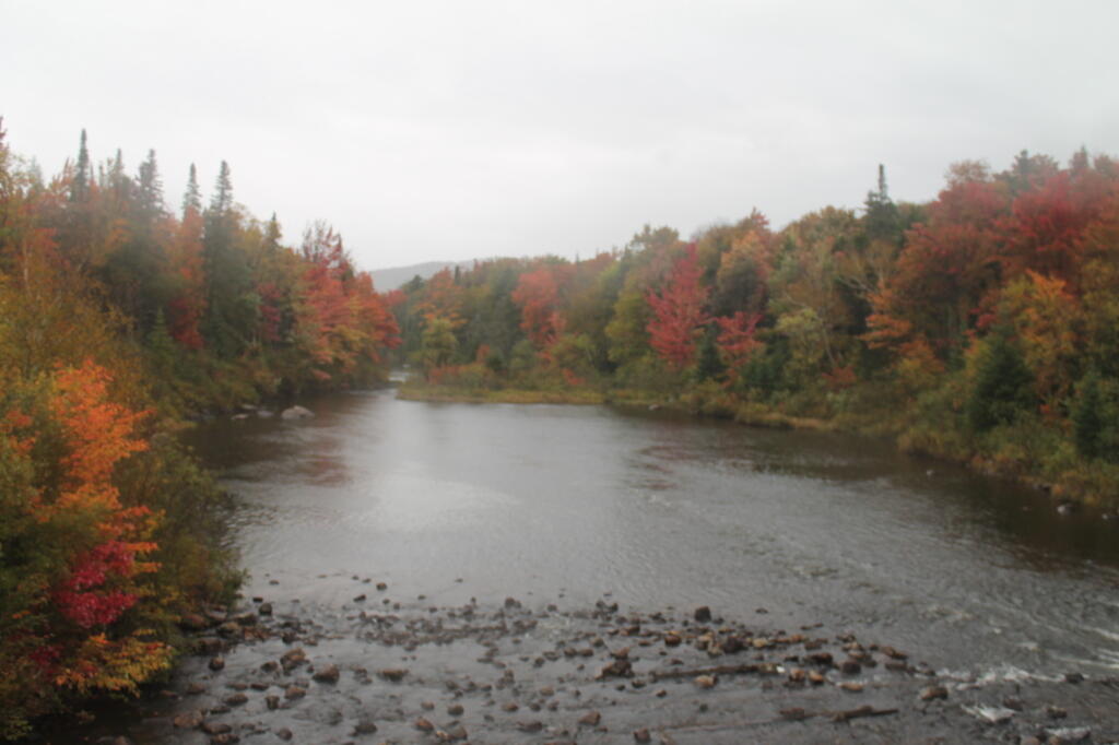 Photo: Rain on the Cedar River