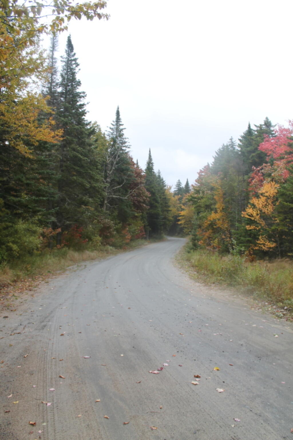 Photo: Winding Through Sturge Hills