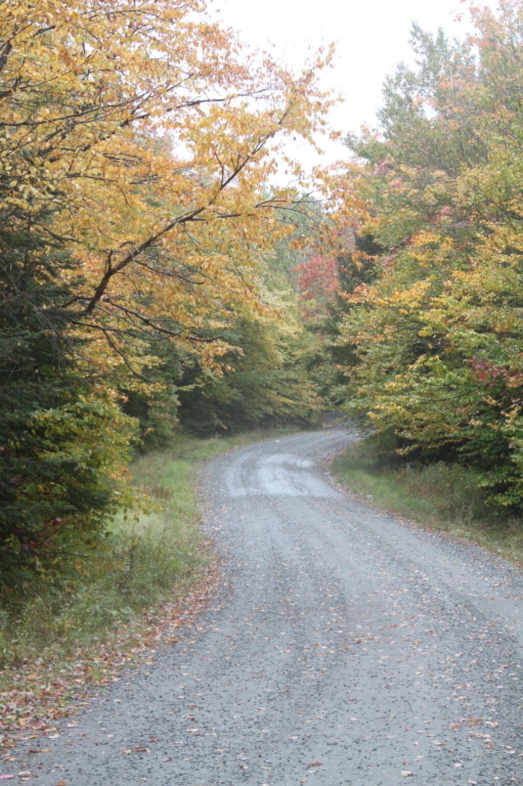 Photo: Moose River Road Winds Up Sturges Hill