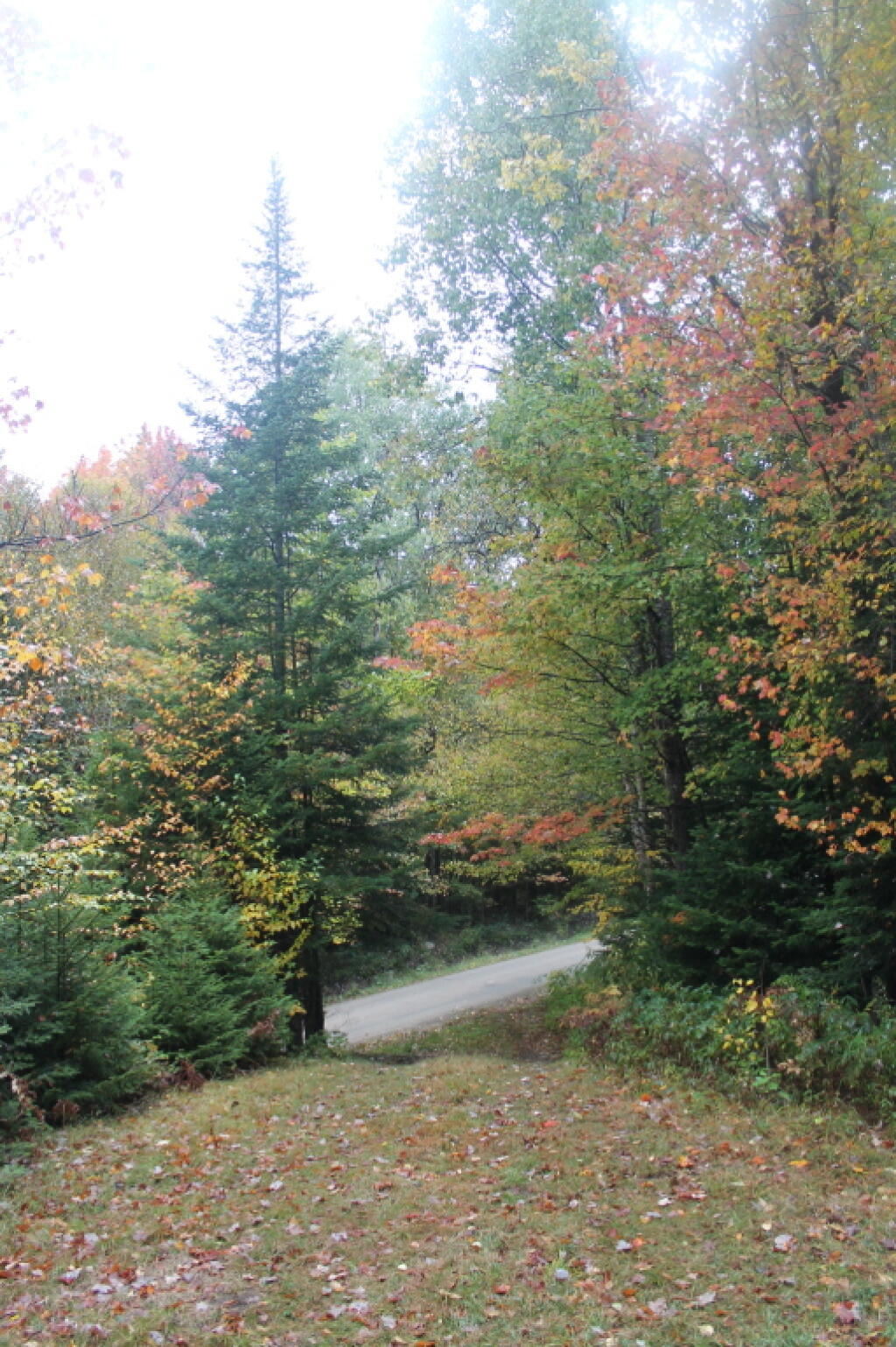 Photo: Moose Road from the Campsite