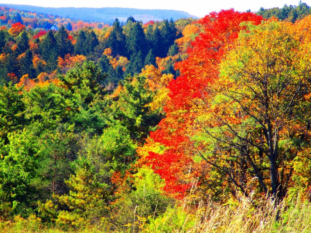 Photo: House on the Hill Photo: House on the Hill