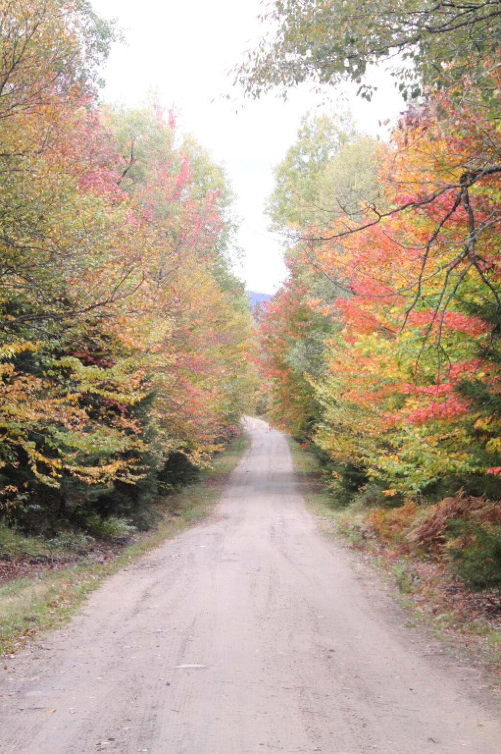 Photo: Heading Down to the Plains Photo: Heading Down to the Plains