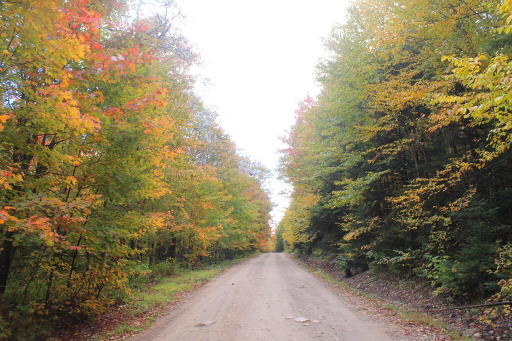 Photo: Untitled