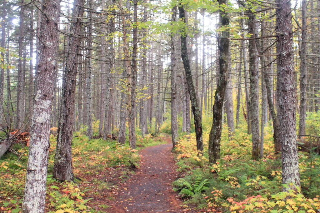 Photo: Helldiver Path