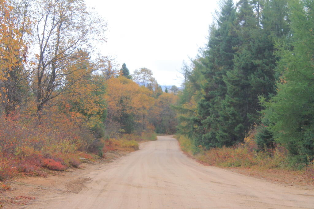 Photo: Untitled
