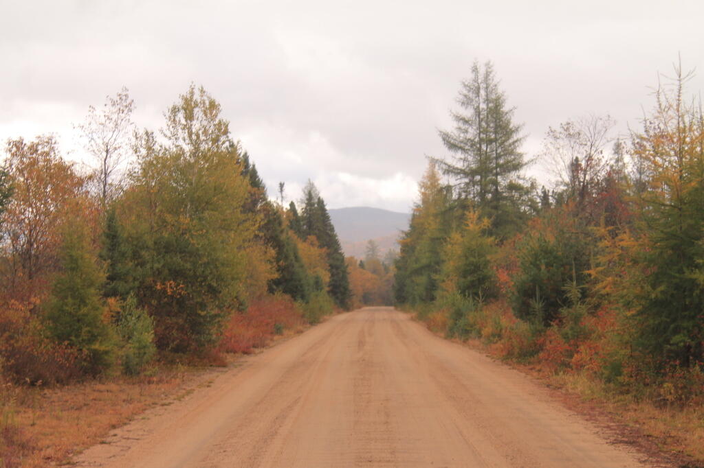 Photo: Towards Big Moose Mountain Photo: Towards Big Moose Mountain