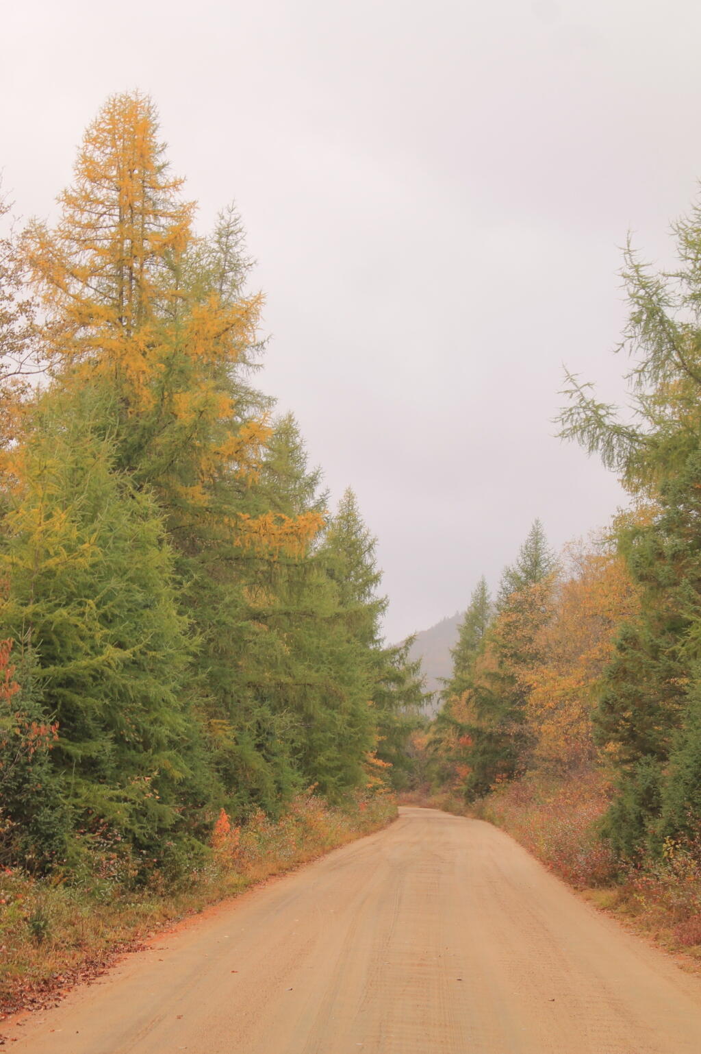 Photo: Untitled