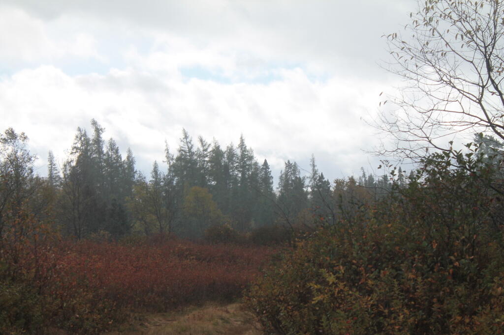 Photo: Rain on the Plains Photo: Rain on the Plains