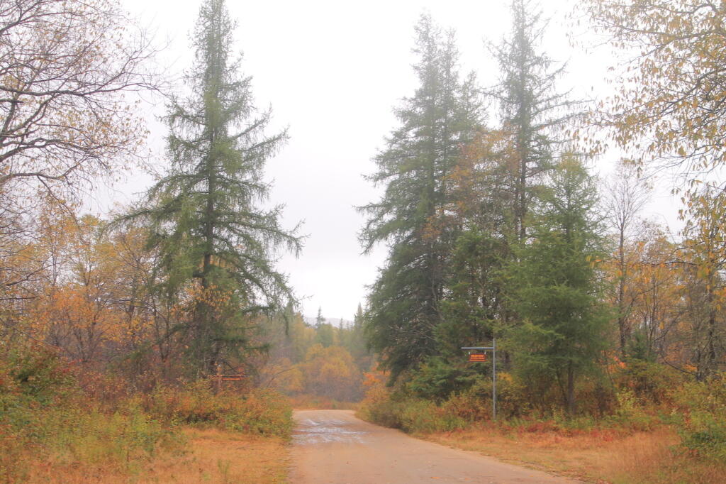 Photo: Otter Brook Road