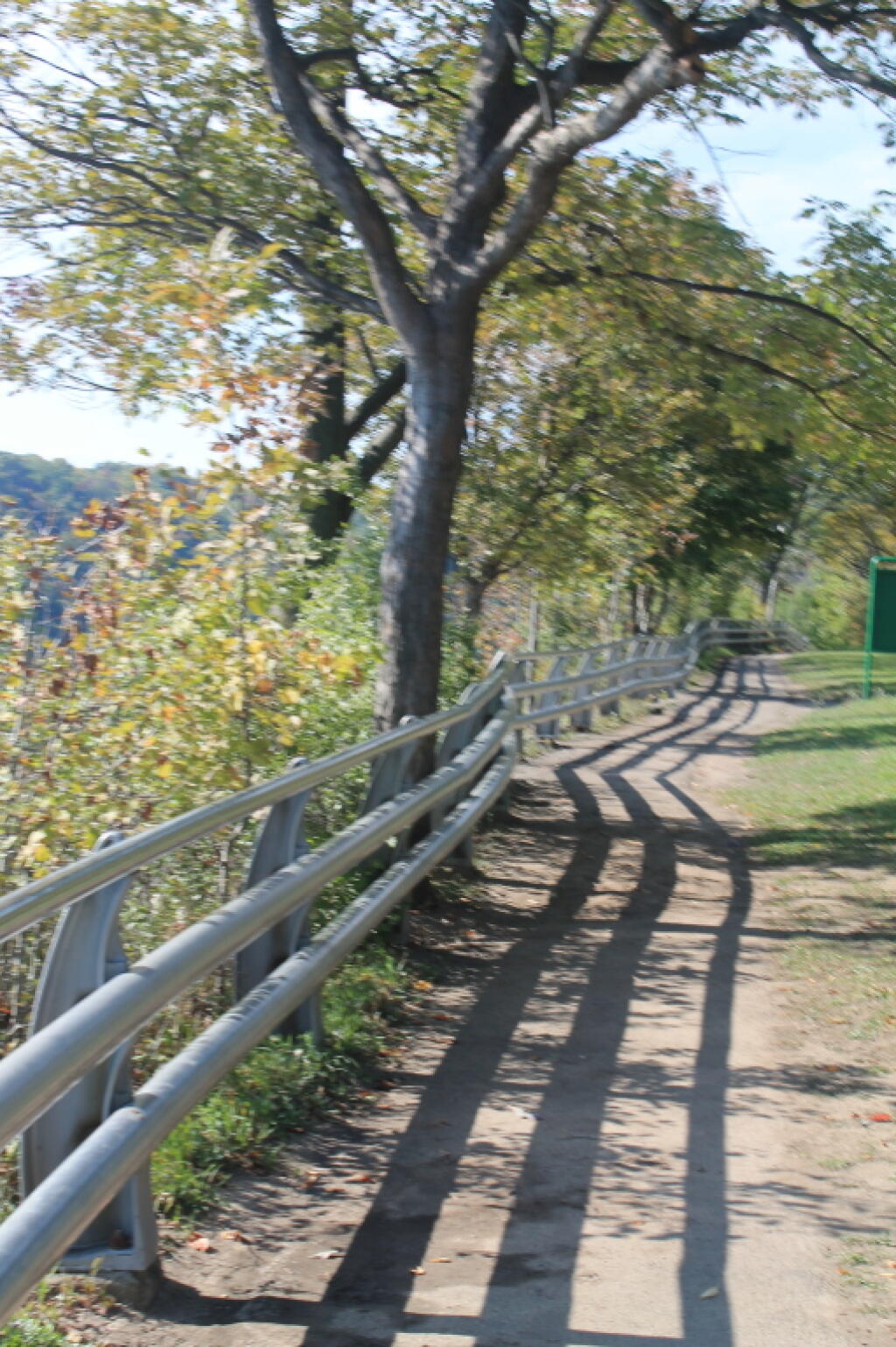 Photo: Fence