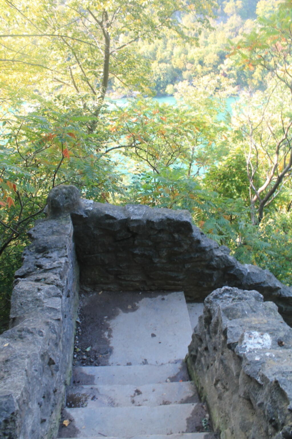 Photo: Stairs Down Into the Gorge