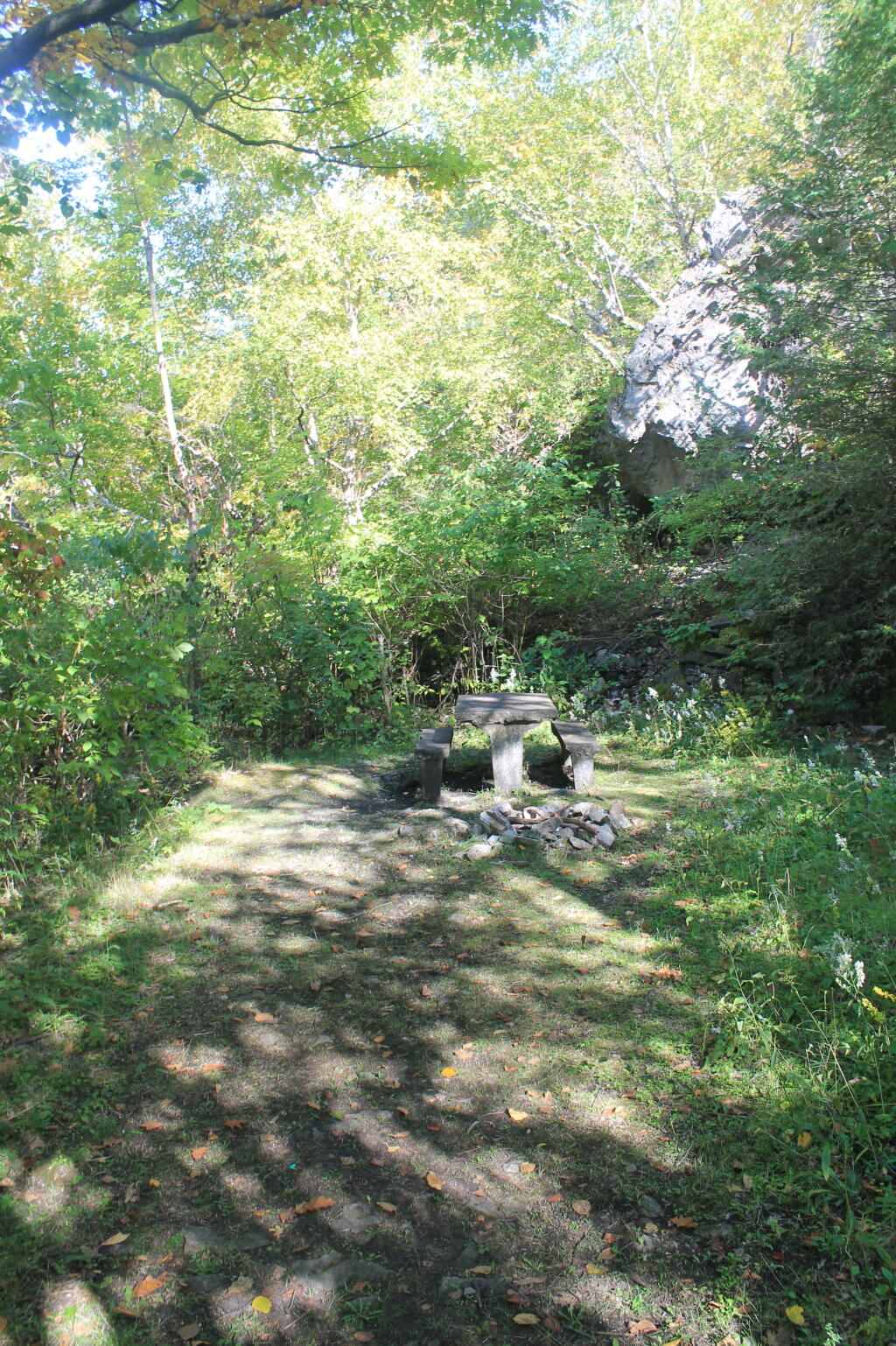 Photo: Picnic Area
