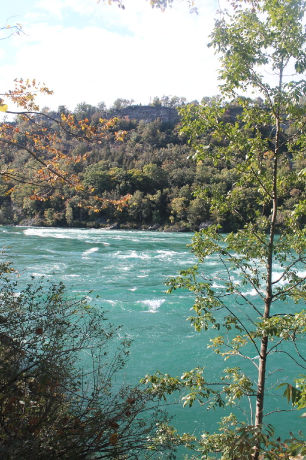 Photo: Along the Niagara River