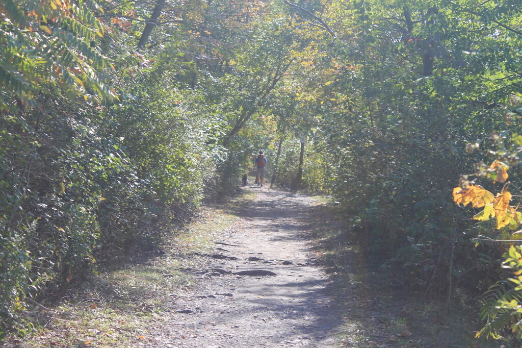 Photo: Hikers Along the Trail